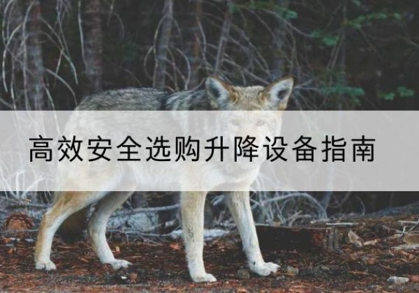 嫩江升降货梯厂家推荐-*安全选购升降设备指南