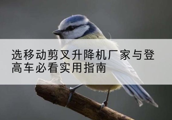 嫩江电动升降机厂家-选移动剪叉升降机厂家与登高车必看实用指南