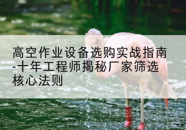 嫩江剪叉式升降机厂家-高空作业设备选购实战指南-十年工程师揭秘厂家筛选核心法则